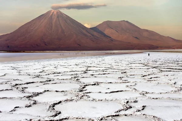 Volcán Licancabur Desierto de Atacama Chile — Foto de Stock