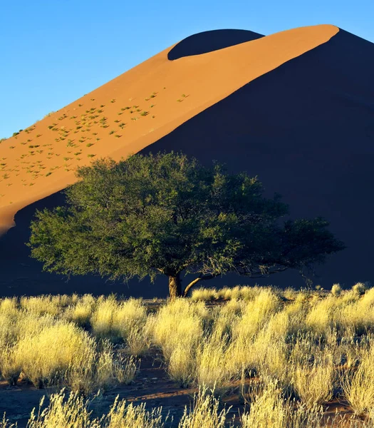 Namibia - Sossusvlei sand dune — Stock Photo, Image