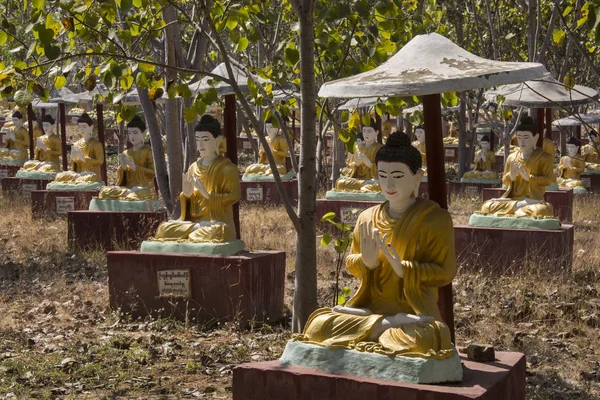 Boddhi-Tathaung Buddha fält - Monywa - Myanmar — Stockfoto