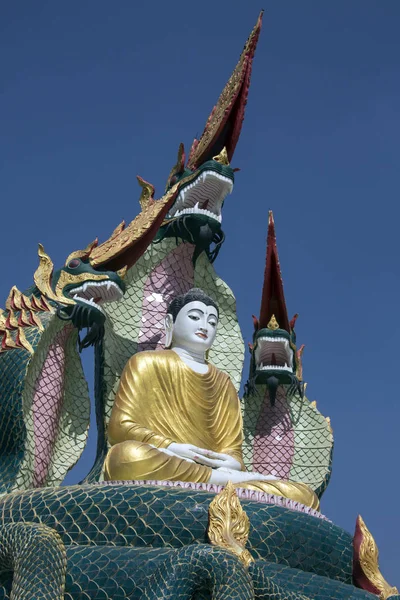 Buda heykeli - Monywa - Myanmar — Stok fotoğraf