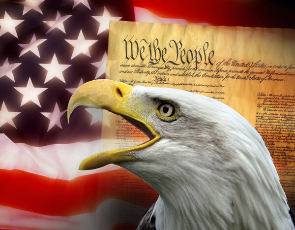 Соединенные Штаты Америки