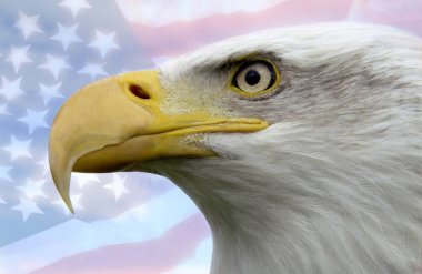 Vatansever sembolü - Amerika Birleşik Devletleri