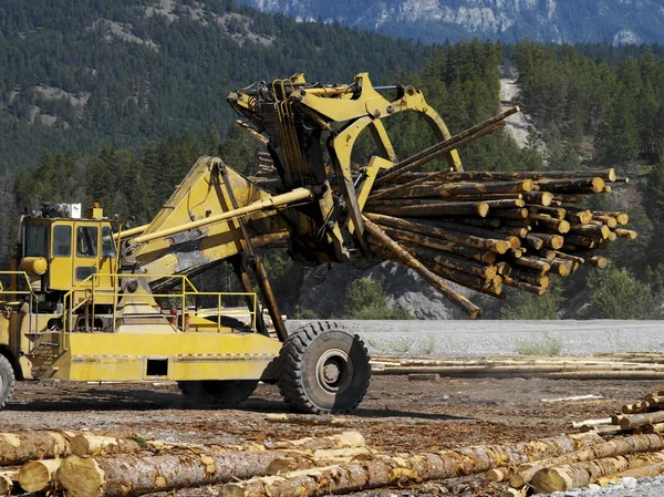 Logging apparatuur - British Columbia - Canada — Stockfoto