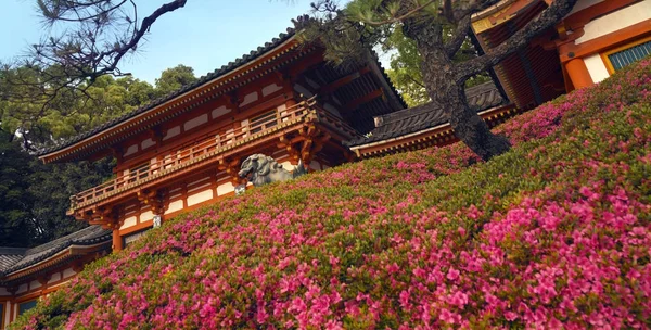 Yasaka-schrein - maruyama park - gion distrikt - kyoto - japan — Stockfoto