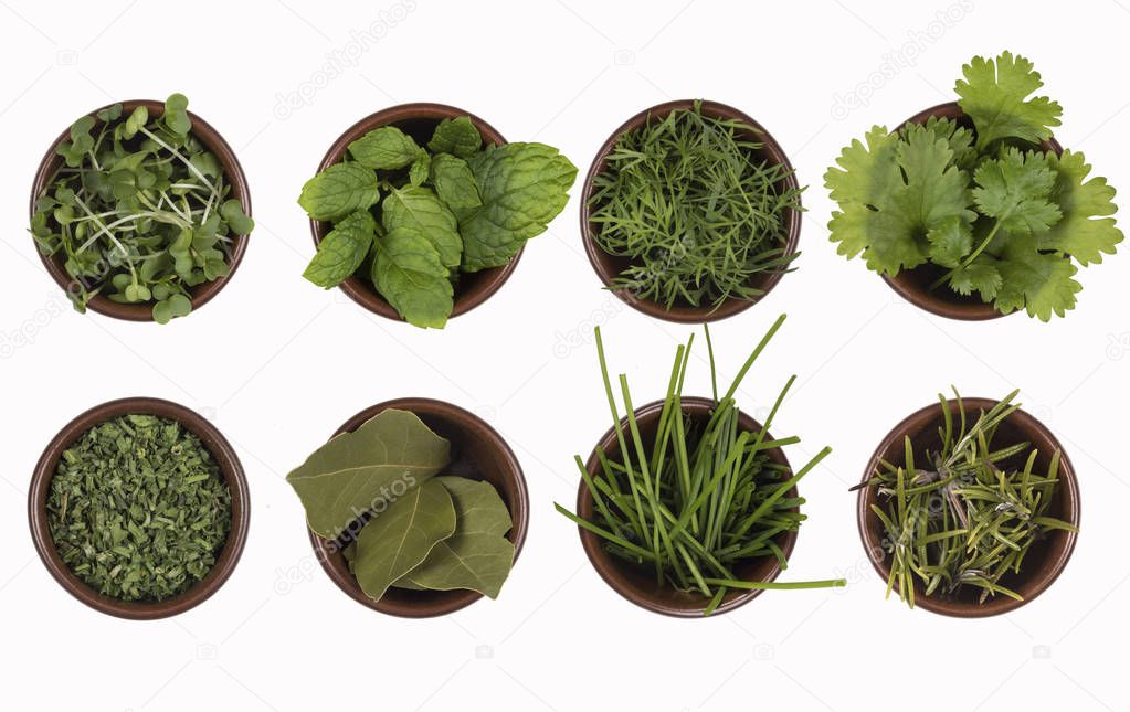 Herbs used in cooking