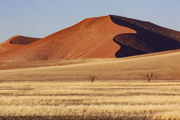 Pustynia Namib - Namibia - Afryka — Zdjęcie stockowe