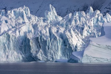 Monako Buzulu - Woodfjorden - Svalbard Adaları