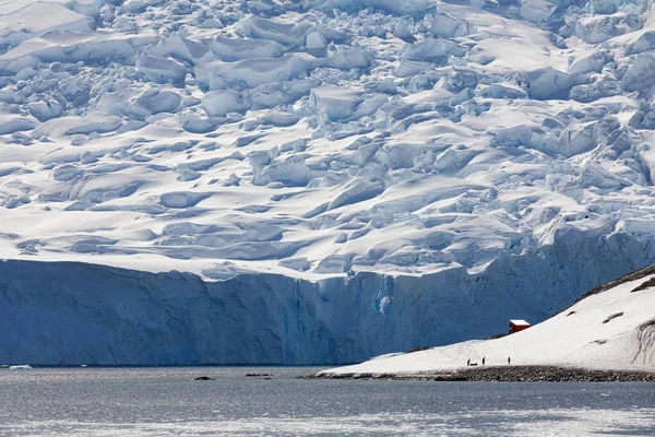 Glaciar Neko Harbor - Península Antártica - Antártida — Foto de Stock