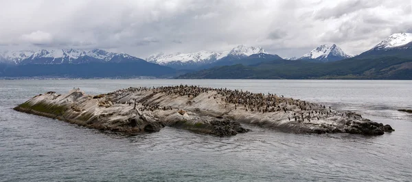 Beagle Channel in de buurt - Ushuaia - Tierra del Fuego - Argentinië — Stockfoto
