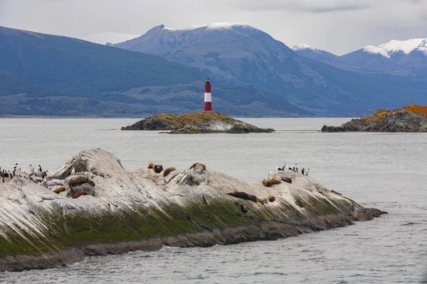 Les Eclaireurs Lighthouse - Tierra del Fuego - Argentinië — Stockfoto