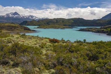 Torres del Paine Ulusal Parkı - Patagonya - Şili - Güney Ameri