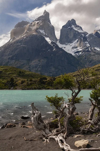 Torres del Paine nationalpark - Patagonien - Chile - södra Ameri — Stockfoto