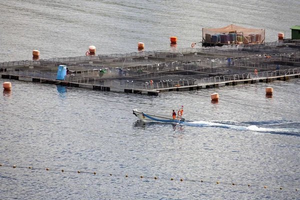 智利奥塔伊港附近的商业养鱼场 — 图库照片