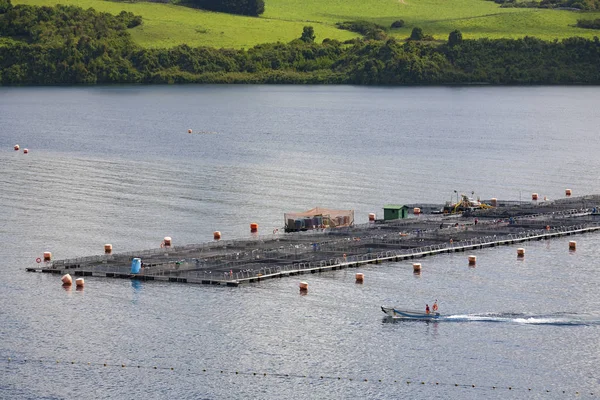 Kommerzielle fischfarm in der nähe von puerto octay - chili — Stockfoto