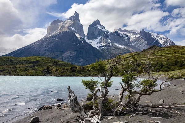 Torres del paine nationaal park - Patagonië - Chili — Stockfoto