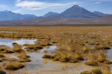Mount licancabur volkan - atacama Çölü - Şili