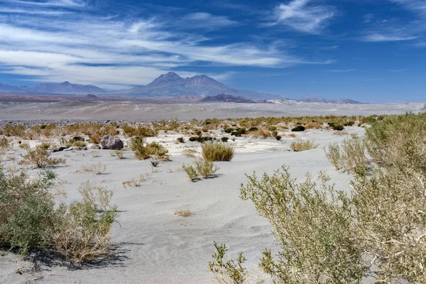 Atacama Çölü - Şili - Güney Amerika — Stok fotoğraf
