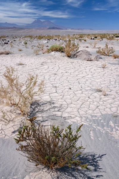 Poušť Atacama, chile - Jižní Amerika — Stock fotografie