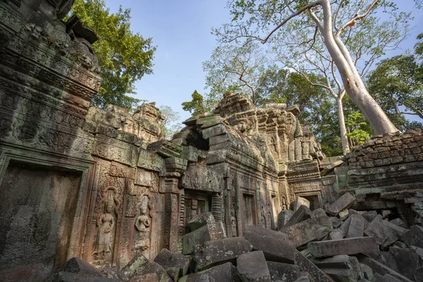 Ta Prohm 'un kalıntıları - Angkor Wat - Kamboçya — Stok fotoğraf