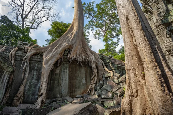 Ruins of Ta Prohm - Angkor Wat - Cambodia — Stock Photo, Image