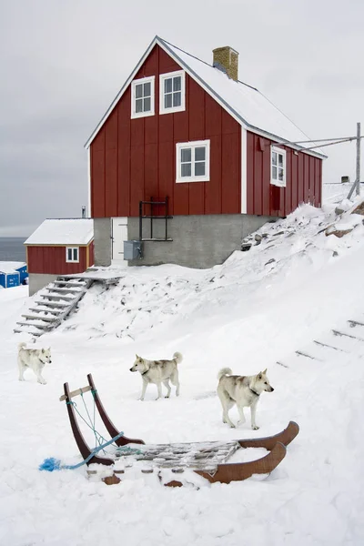 Stadt ittoqqortoormiit am Eingang zu scoresbysund - Grönland — Stockfoto