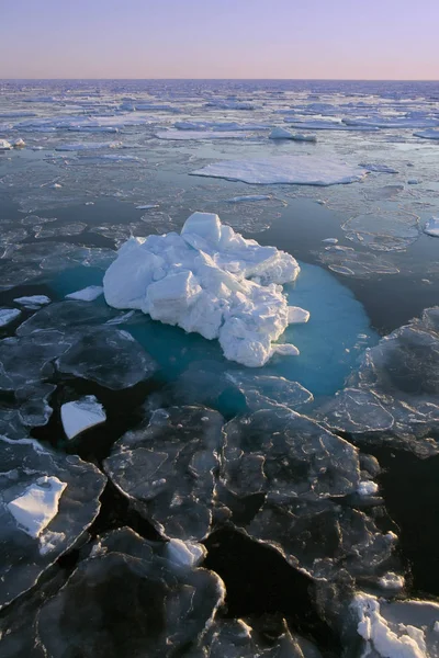 Θαλάσσιος πάγος στην Αρκτική στα ανοικτά των ακτών της ανατολικής Γροιλανδίας — Φωτογραφία Αρχείου