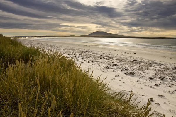 Four Mile Beach and Elephant Bay - Falkland Islands — Stock Photo, Image