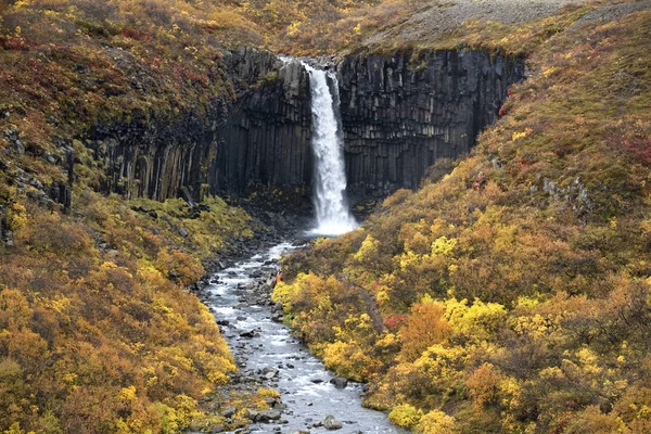 Svartifoss vattenfall - Island Stockfoto