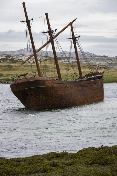 Zřícenina lady Alžběty ve Velrybí zátoce - Falklandské ostrovy — Stock fotografie