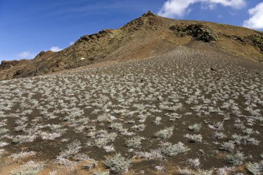 Galapagos Adaları 'ndaki Bartolome adasında volkan