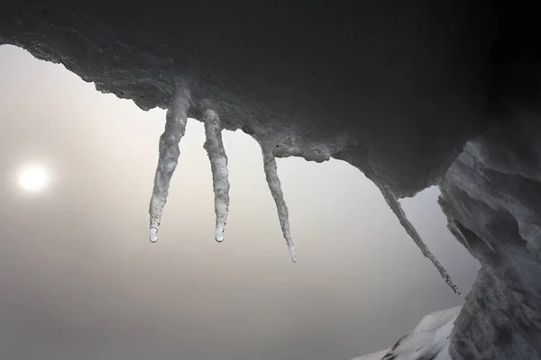 Icicles dripping water - Brown Bluff - Antarctica — Stock Photo, Image