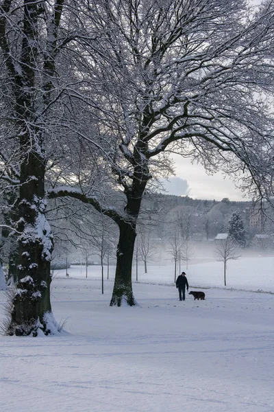 Walking the dog in winter weather — Stockfoto