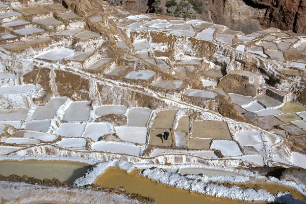 Maras zoutpannen - peru — Stockfoto