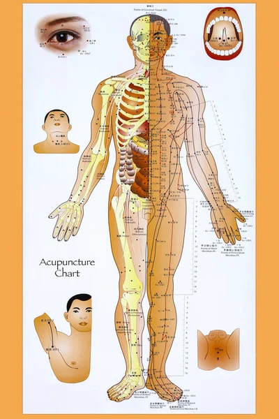 침술 차트 — 스톡 사진