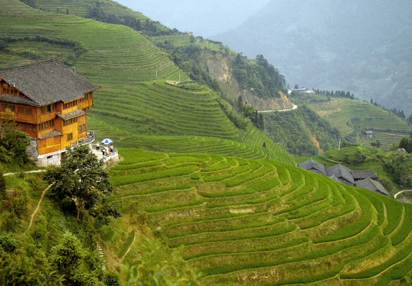 Longsheng Reisterrassen in der Nähe von Guilin, Guangxi Region von China — Stockfoto