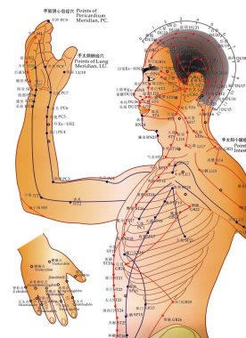 Alternatif Tıp - akupunktur grafiği