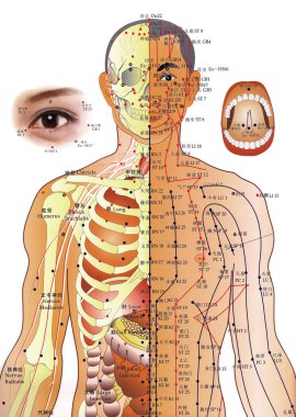 Alternatif Tıp - akupunktur grafiği