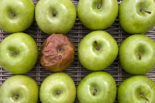 Ett dåligt äpple — Stockfoto