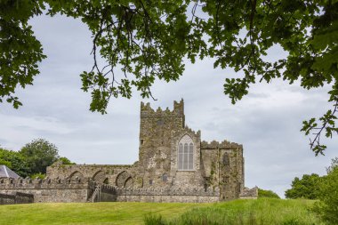 Tintern Abbey - İrlanda Cumhuriyeti 'nin Wexford ilçesindeki Hook yarımadasında bulunan bir manastırın kalıntıları..