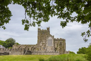 Tintern Abbey - the ruins of a Cistercian abbey located on the Hook peninsula, County Wexford, Republic of Ireland. clipart