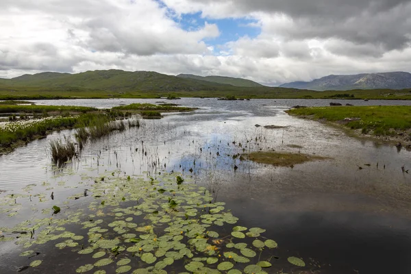 Rlanda Cumhuriyeti Ndeki County Mayo Turba Bataklığı — Stok fotoğraf