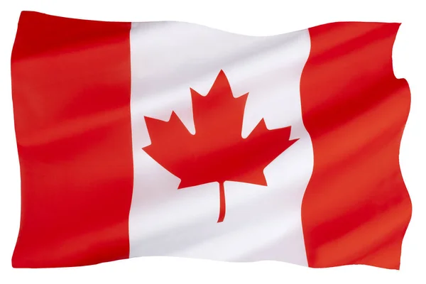 National Flag Canada Drapeau Canada Often Referred Canadian Flag Unofficially — Stock Photo, Image