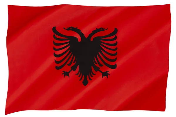 National Flag Albania Adopted November 1443 — Stock Photo, Image