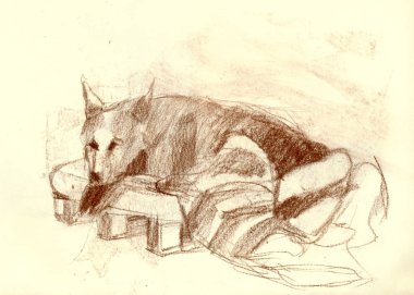 bir el çizilmiş resim, illüstrasyon - bir köpek
