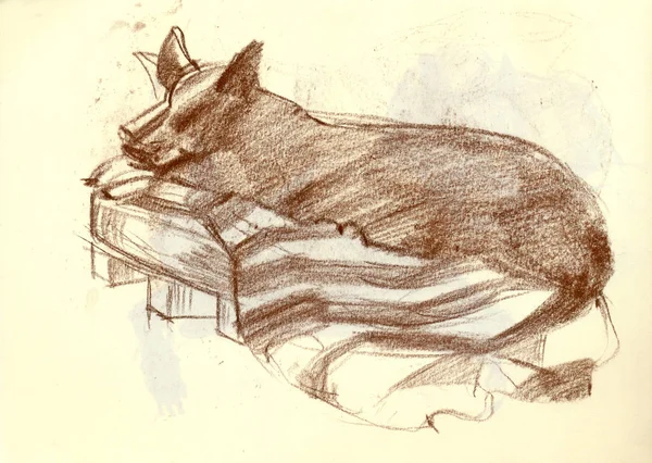Bir el çizilmiş resim, illüstrasyon - bir köpek — Stok fotoğraf