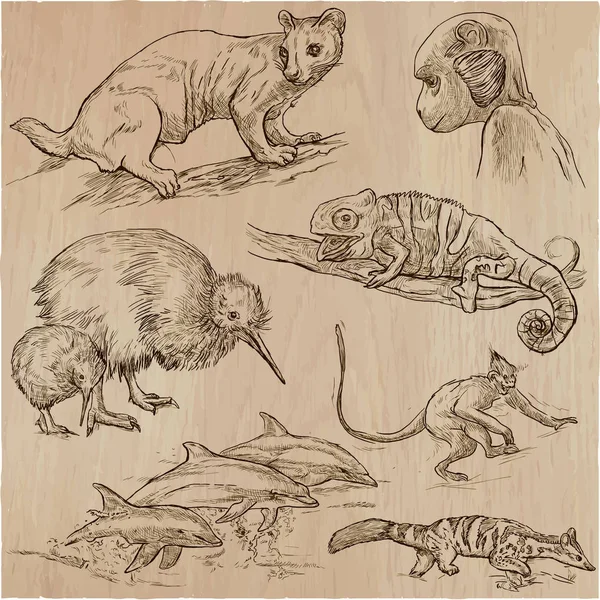 Животные - ручной рисунок векторного пакета, коллекция . — стоковый вектор
