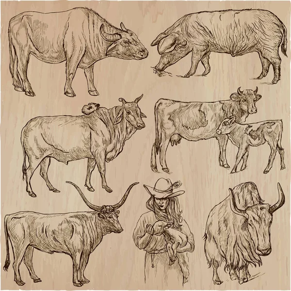 Animali da allevamento - confezione vettoriale disegnata a mano, collezione . — Vettoriale Stock