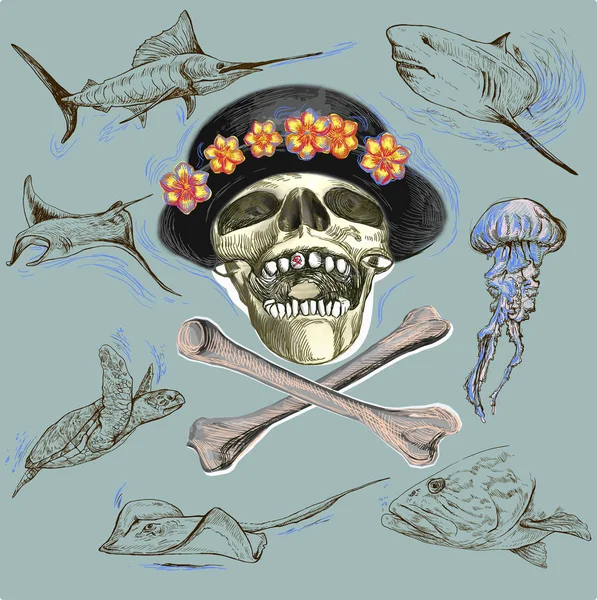 Pirate skull and underwater life - hand drawn vector — Stock Vector