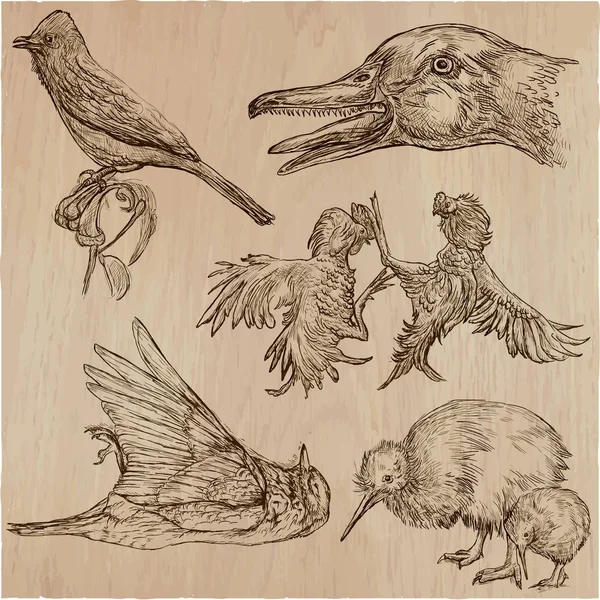 Des oiseaux. Animals around the World - Un paquet vectoriel dessiné à la main. Lin ! — Image vectorielle