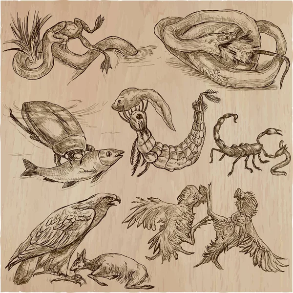 Animals in action, Predators - An hand drawn vector illustration Royalty Free Stock Illustrations